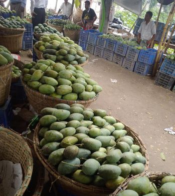 আম রুপালি