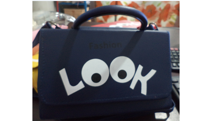 ফ্যাশন লুক ব্যাগ (B)